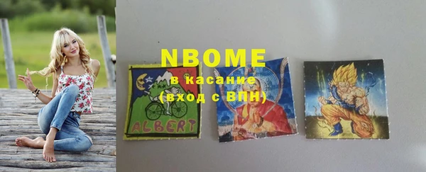 амф Бородино