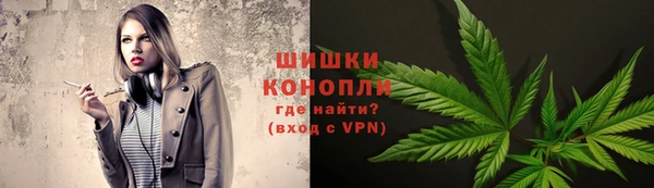 амф Бородино