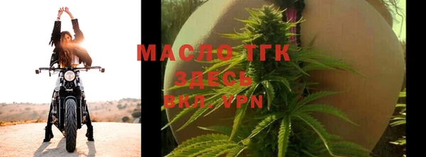 амф Бородино