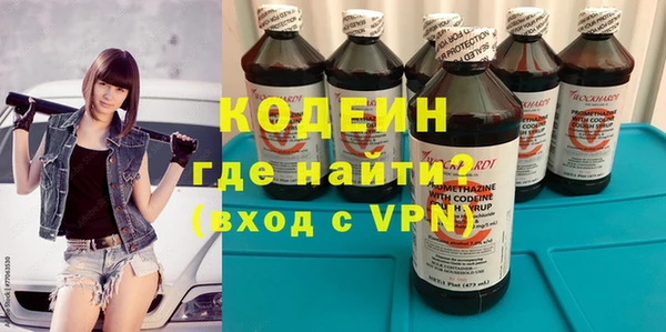 амф Бородино