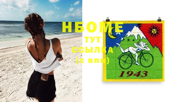 амф Бородино