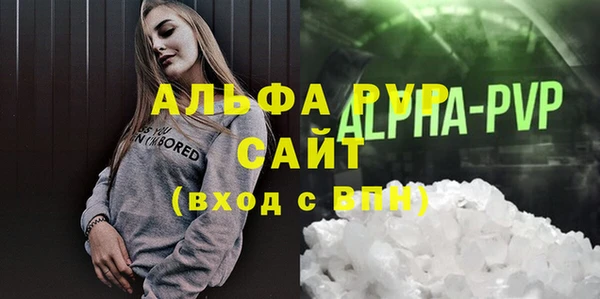 амф Бородино